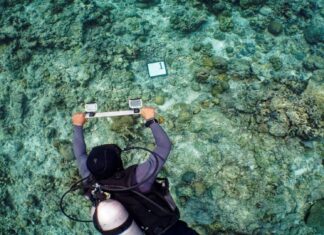 Protection of Tubbataha Reef gets boost with new mapping, survey project
