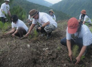 Planting dreams with ‘Grow Trees Community’ in Benguet