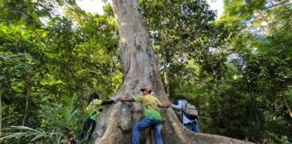 City ENRO spearheads forest bathing, tree hugging, nature-based activities on International Day of Forests