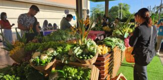 From the Fields to your local SM Supermall