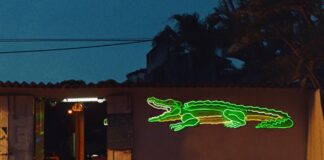 Powerhouse Duo Sofi Tukker Share Rousing New Single “Jacaré”