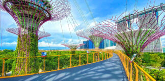 My Singapore Pass Aims to Be the top travel booking site by 2025