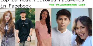 Top 20 Most Followed Palaweños in Facebook