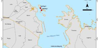 Survey confirms disappearing population of critically-endangered Irrawaddy dolphins in Bicol