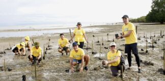 Cebu Pacific, Ramon Aboitiz Foundation Rehabilitate Mangroves in Cebu