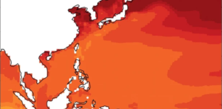 More intense typhoons to come this century, UP study warns