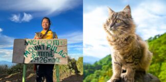 Cat Owner Trends As He Brings His Cat In A Mountain Hiking