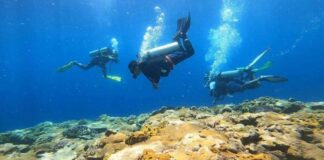 Borongan City To Offer Other Tourism Activities Besides Surfing