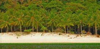 Palawan Witnesses Nearly 90% Surge In Tourist Arrivals In 2023
