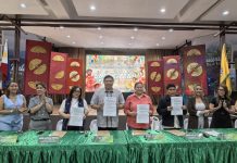 Palawan Tourism Council Takes the Lead for Baragatan Festival 2026; P50M Budget Set