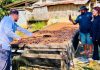 “Is There Really a Future for Cacao in Palawan? Chocolatiers and cacao farmers weigh in”