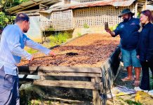 “Is There Really a Future for Cacao in Palawan? Chocolatiers and cacao farmers weigh in”