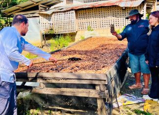 “Is There Really a Future for Cacao in Palawan? Chocolatiers and cacao farmers weigh in”