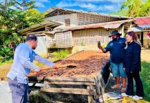 “Is There Really a Future for Cacao in Palawan? Chocolatiers and cacao farmers weigh in”
