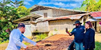 “Is There Really a Future for Cacao in Palawan? Chocolatiers and cacao farmers weigh in”
